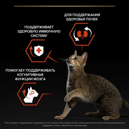 Pro Plan Original cухой корм для кошек, для поддержания здоровья органов чувств, с лососем - 3 кг фото 7