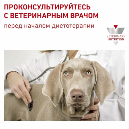 Royal Canin Gastrointestinal полнорационный влажный корм для взрослых собак при нарушениях пищеварения, диетический, паштет, в консервах - 400 г фото 7