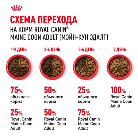 Royal Canin Maine Coon Adult полнорационный сухой корм для взрослых кошек породы мейн-кун старше 15 месяцев фото 7