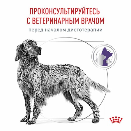 Royal Canin Neutered Adult полнорационный сухой корм для взрослых стерилизованных и кастрированных собак средних пород, диетический - 3,5 кг фото 7