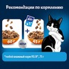Felix Мясное объедение полнорационный сухой корм для кошек, с курицей - 600 г фото 8