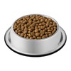 Cat Chow полнорационный сухой корм для кошек, для здоровья мочевыводящих путей, с высоким содержанием домашней птицы - 7 кг фото 8
