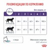 Royal Canin Neutered Satiety Balance полнорационный сухой корм для взрослых кастрированных котов и стерилизованных кошек с момента стерилизации до 7 лет, диетический - 3,5 кг фото 8