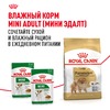 Royal Canin Pomeranian Adult полнорационный сухой корм для взрослых собак породы померанский шпиц старше 8 месяцев фото 8
