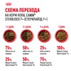 Royal Canin Sterilised 7+ полнорационный сухой корм для пожилых стерилизованных кошек с 7 до 12 лет фото 8