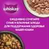 Whiskas сухой корм для стерилизованных кошек, подушечки с паштетом, с курицей - 800 г фото 8