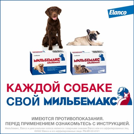 Elanco Мильбемакс таблетки от глистов для щенков и мелких собак (2 таблетки) фото 8