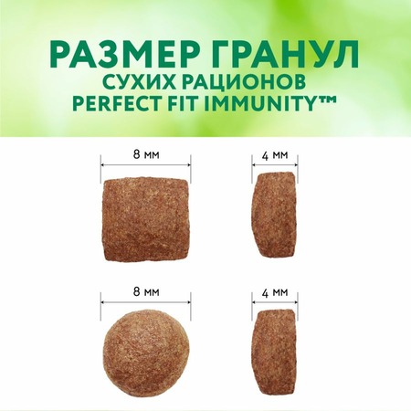 Perfect Fit Immunity сухой корм для поддержания иммунитета кошек, с говядиной и добавлением семян льна и голубики - 1,1 кг фото 8