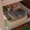 Ferplast Ranch 120 Max клетка для кроликов, для содержания на улице, деревянная - 117x69xh107 см, 108x58 см, 32x52см-47xh41 см фото 9
