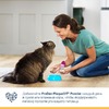 ProDen PlaqueOff кормовая добавка для профилактики зубного камня у собак и кошек, 180 г фото 9