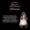 Pro Plan OptiDerma сухой корм для щенков средних пород, при чувствительной коже, с лососем - 3 кг фото 9