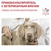 Royal Canin Diabetic Canine DS37 сухой корм для собак при ожирении 2 - й стадии или при сахарном диабете - 12 кг фото 9