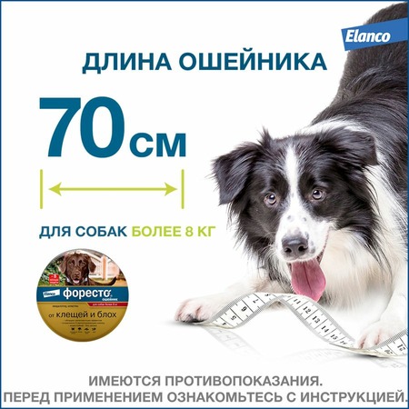 Elanco Foresto ошейник от клещей и блох для собак с весом более 8 кг - 70 см фото 9