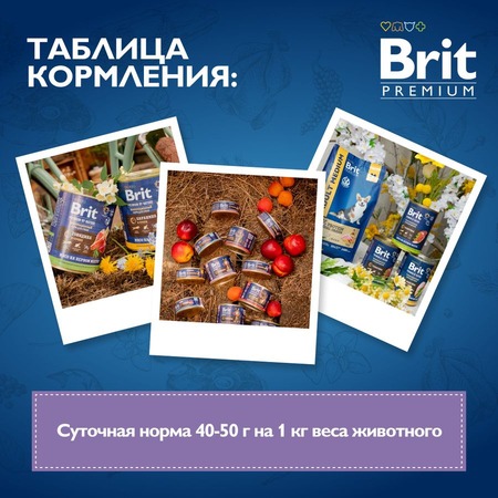 Brit Premium by Nature полнорационный влажный корм для собак с чувствительным пищеварением, фарш из ягненка с гречкой, в консервах - 410 г фото 9