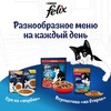 Felix Двойная Вкуснятина для взрослых кошек, с птицей - 600 г фото 10
