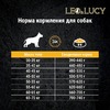 Leo&Lucy сухой полнорационный корм для пожилых собак крупных пород, с уткой, тыквой и биодобавками фото 10