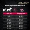 LEO&LUCY сухой холистик корм для взрослых и пожилых собак всех пород с индейкой и ягодами - 4,5 кг фото 10