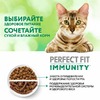 Perfect Fit Immunity сухой корм для поддержания иммунитета кошек, с говядиной и добавлением семян льна и голубики - 1,1 кг фото 10