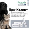 Protexin Проколин для лечения диареи и пищевых расстройств у собак и кошек 15 мл фото 10