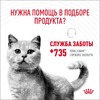 Royal Canin Digestive Care влажный корм для взрослых кошек с чувствительным пищеварением в соусе, в паучах - 85 г фото 10