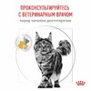 Royal Canin Urinary Urinary S/O полнорационный сухой корм для взрослых кошек способствующий растворению струвитных камней, диетический - 1,5 кг фото 10