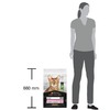 Purina Pro Plan Delicate сухой корм для кошек с чувствительным пищеварением и привередливых к еде с ягненком - 10 кг фото 10
