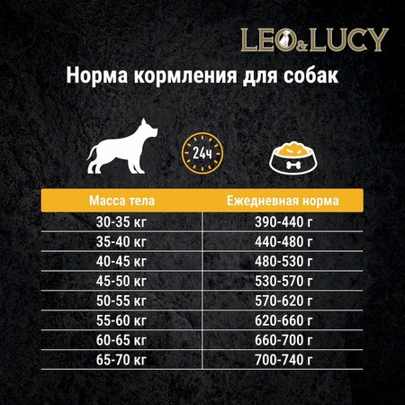 Leo&Lucy сухой полнорационный корм для пожилых собак крупных пород, с уткой, тыквой и биодобавками фото 10