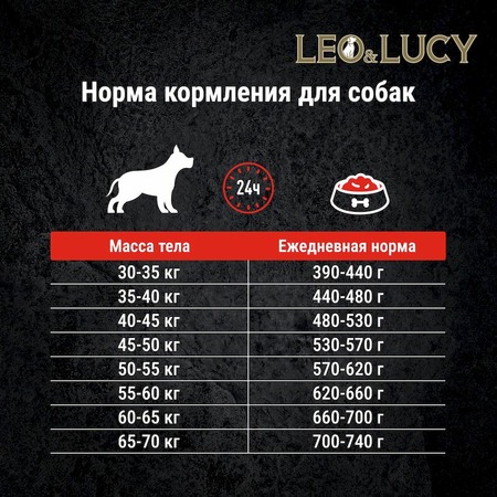 Leo&Lucy сухой полнорационный корм для собак крупных пород, с ягненком, яблоком и биодобавкам - 4,5 кг фото 10