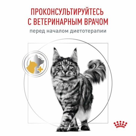 Royal Canin Urinary Urinary S/O LP34 сухой корм для взрослых кошек способствующий растворению струвитных камней, диетический фото 10