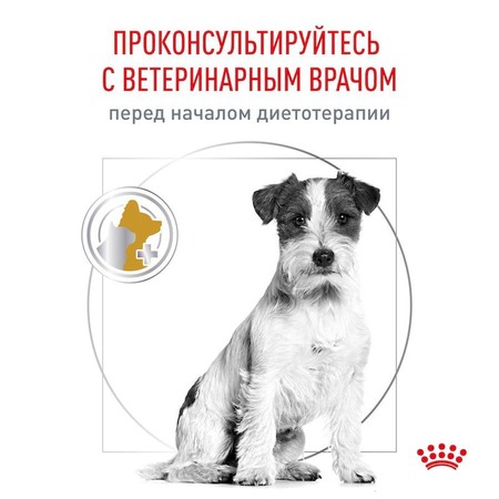 Royal Canin Urinary S/O LP 18 Canine полнорационный сухой корм для взрослых собак при лечении и профилактике мочекаменной болезни, диетический - 2 кг фото 10